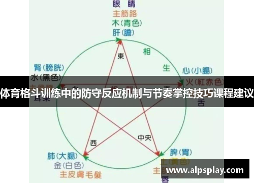 体育格斗训练中的防守反应机制与节奏掌控技巧课程建议